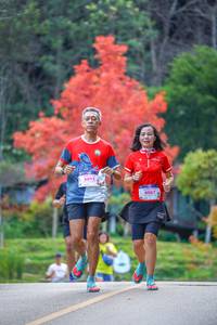 BIB: 8092, 8087
                            <button type="button" onclick="openModal(19239845)" class="btn btn-primary btn-sm float-right btn-popup" data-toggle="modal" data-target=".modal-high-quality">
                        <i class="fas fa-shopping-cart"></i> Add to Cart
                    </button>
                                            <button type="button" onclick="isThisMe(19239845, true)" class="btn btn-success btn-sm float-right btn-popup btn-isme hidden" data-toggle="tooltip" data-placement="bottom" title="นี่คือรูปของคุณใช่ไหม คลิกที่นี่เพื่อเอาเข้าอัลบั้ม">
                        <i class="fas fa-plus"></i> Add to album
                    </button>
                    <button type="button" onclick="isThisMe(19239845, false)" class="btn btn-warning btn-sm float-right btn-popup btn-isnotme hidden">
                        <i class="fas fa-ban"></i> Remove from album
                    </button>